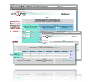 Decidometer Website Design Project